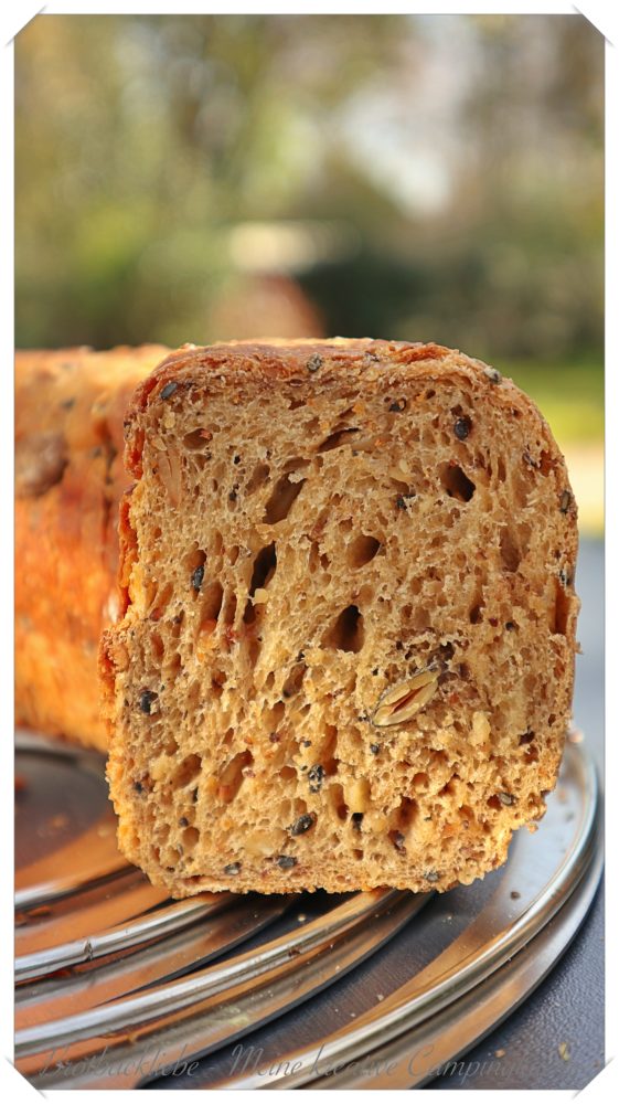 Saatenkruste NoKnead im Omnia - Brotbackliebe - Meine kreative